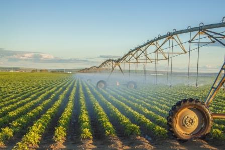 Nitratbelastung durch Düngemittel im Grundwasser Trinkwasseraufbereitung Likusta